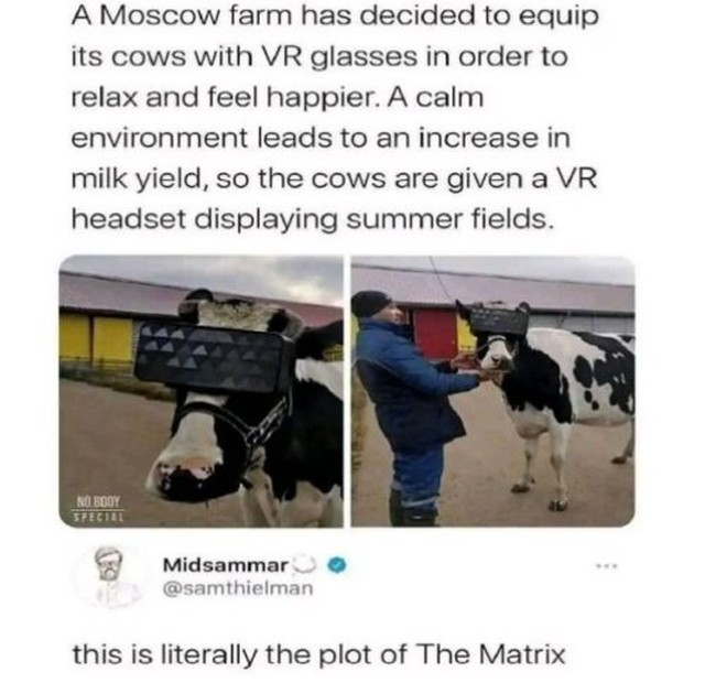 Cow-VR-Matrix.jpg